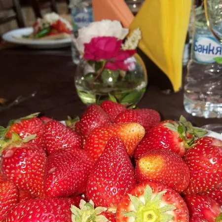 Hotel Хотел Лесидрен 2*